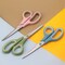 8.5" All-Purpose Scissors Bulk Set of 3 – Office, Home & School Craft Scissors with Soft Comfort Grip for Right and Left Hand Use